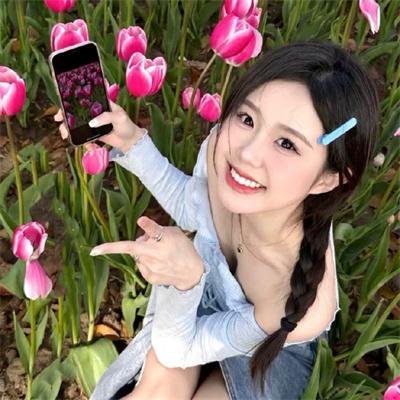 出水芙蓉国语